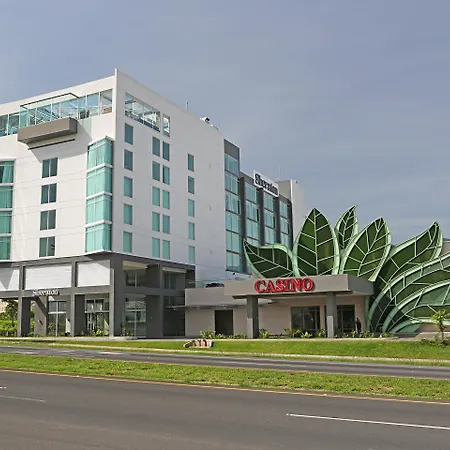 Sheraton San Jose Hotel, Costa Rica-2