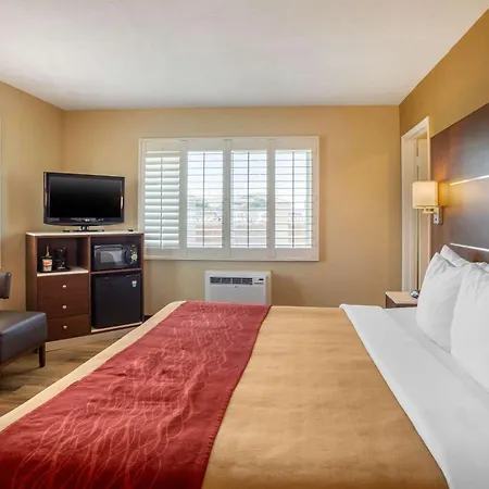 Comfort Inn San Diego Airport At The Harbor-2