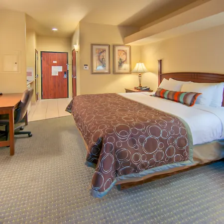 Staybridge Suites Laredo By Ihg-3