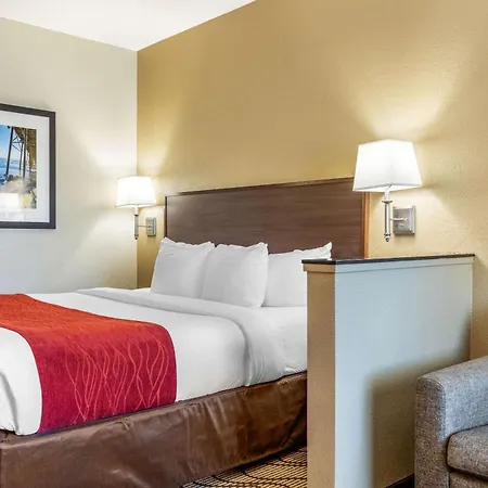 Comfort Inn & Suites Orange County John Wayne Airport-3