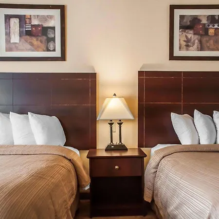 Quality Inn Buffalo Airport-3