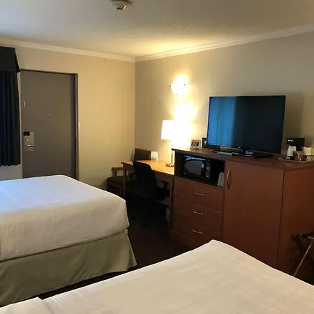 Best Western Thunder Bay Crossroads-3