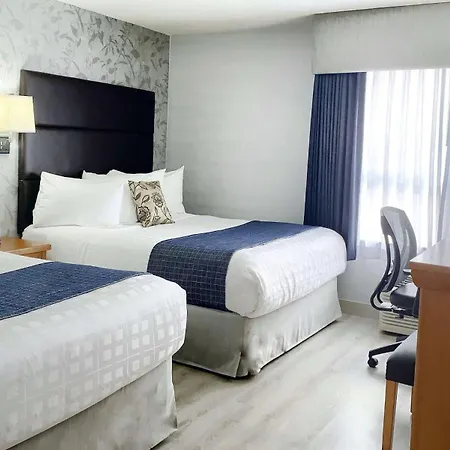 Best Western Plus Regency Inn And Conference Centre-3
