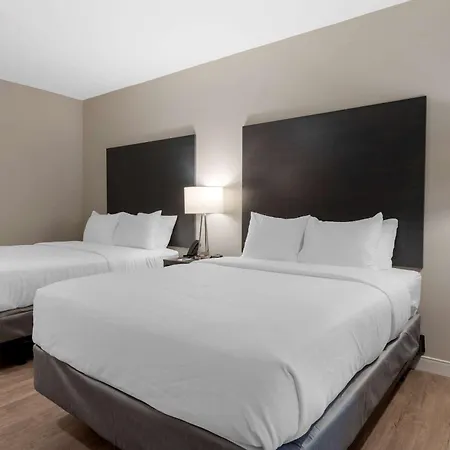 Comfort Suites Cincinnati University - Downtown-3