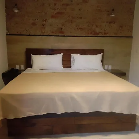 Hotel Sonno Plaza Allende-2