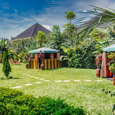 Ezra Boutique Hotel By Casa Africa Ltd-3
