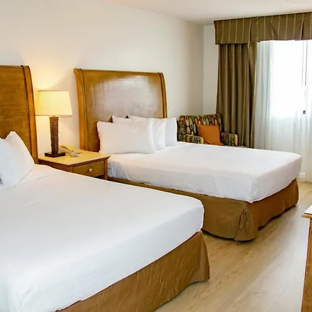 Wyndham Garden Phoenix Midtown-3