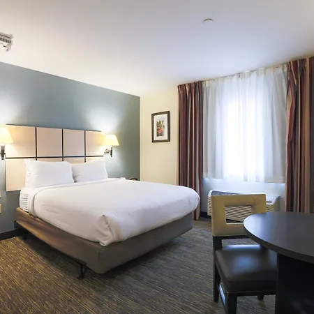 Sonesta Simply Suites Austin South-3