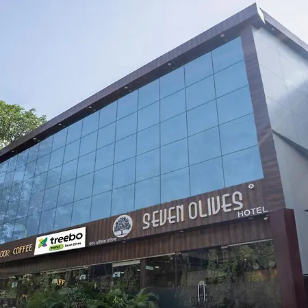Treebo Seven Olives-2