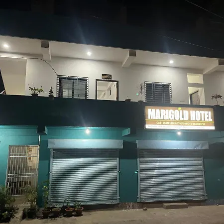 Marigold Hotel-3