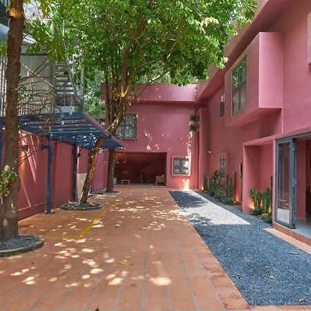 Express By M Village Ho Bieu Chanh, A Brand Of Modern Village Lifestyle-2