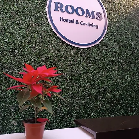 Hostal Roma-3
