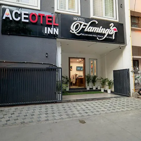 Aceotel Inn Flamingo-2