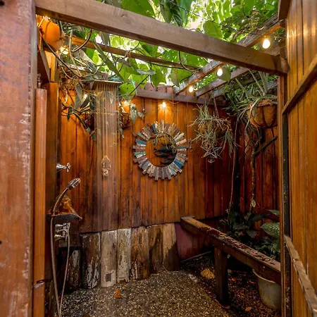 Travellers Oasis-2