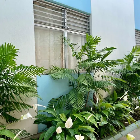 Casa Quetzal-3