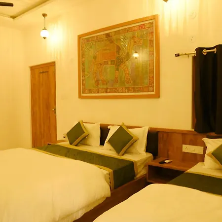 Hotel The Travel Bug Jaisalmer-3