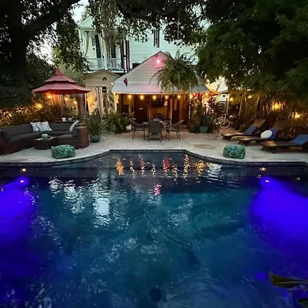 The Dragonfly Treme-Close To French Quarter-Heated Salt Pool-3
