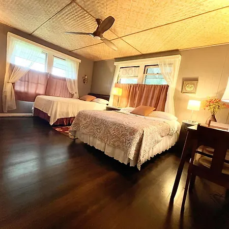 Shaka Shak Guest House-3