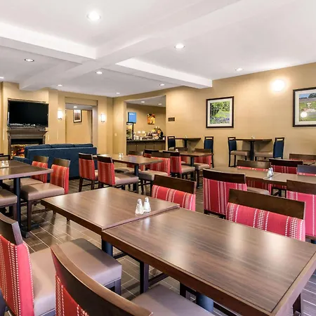 Comfort Suites Humble Bush Intercontinental Airport-3