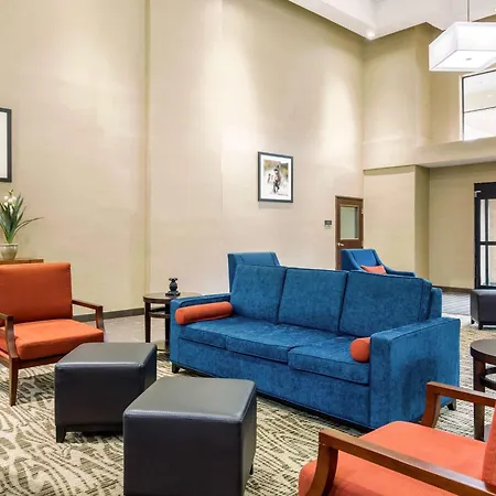 Comfort Suites Humble Bush Intercontinental Airport-3