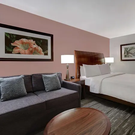 Hilton Garden Inn Fort Myers-3