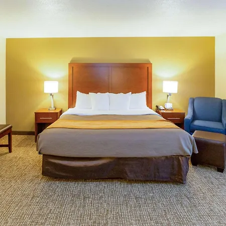 Comfort Inn Salt Lake City Downtown-2