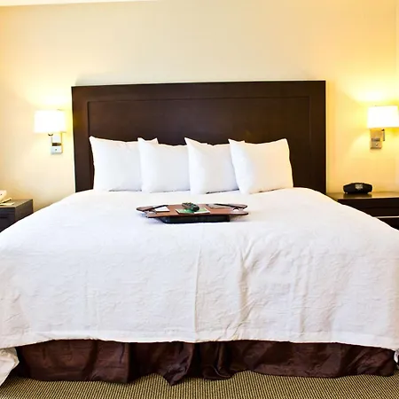 Hampton Inn & Suites Boston Crosstown Center-2