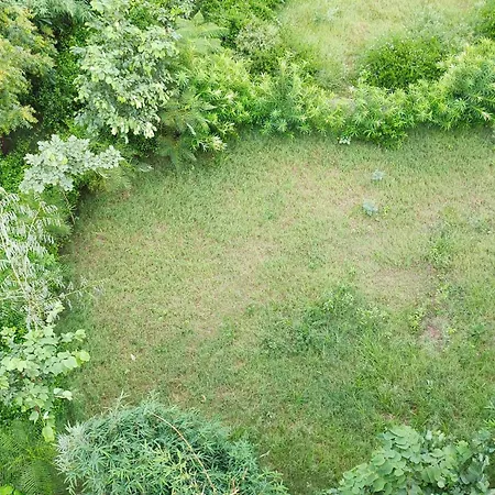 Guest House-2