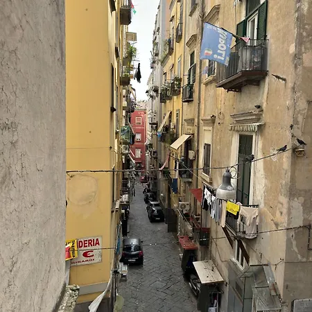 Toledo Relax-2