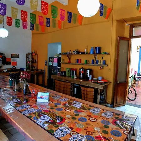 Iguana Hostel Oaxaca-2