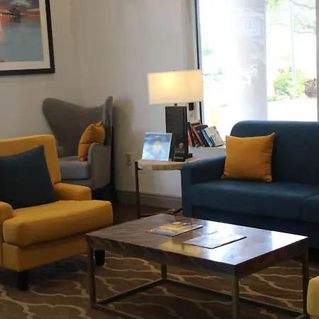 Comfort Suites Clearwater - Dunedin-3