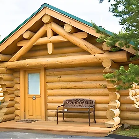 Hibernation Station-3