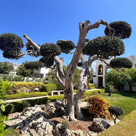 B&B La Rosa Blu-2