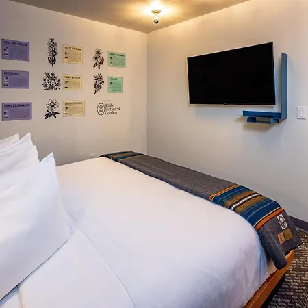 The Sparrow-2