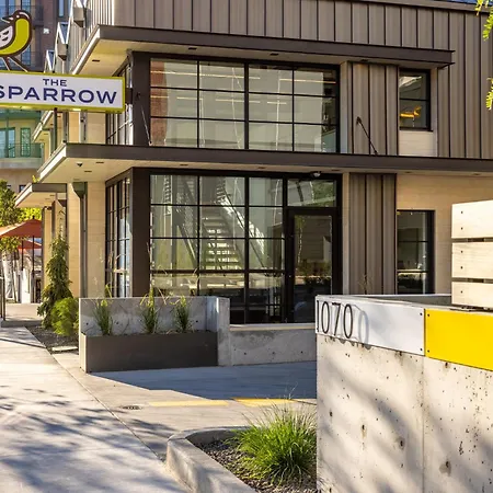 The Sparrow-3
