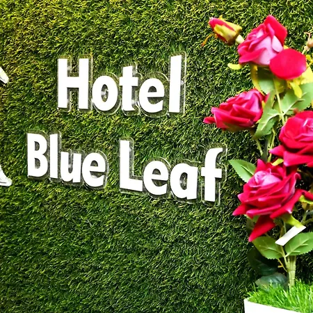 Hotel Blue Leaf-2
