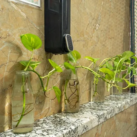 Anandmai - Sustainable Living Spaces-2