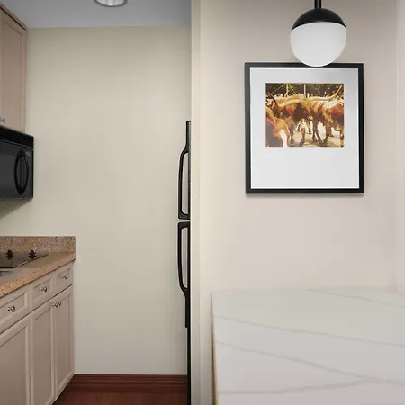 Homewood Suites By Hilton Irving-Dfw Airport-2