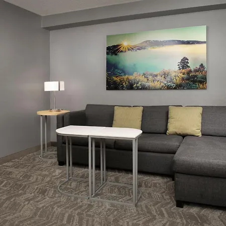 Springhill Suites By Marriott Boise Parkcenter-3