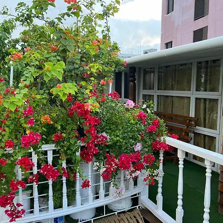 Rooftop Inn-2