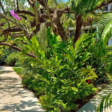 Riviera Americana By Last Key Realty-2