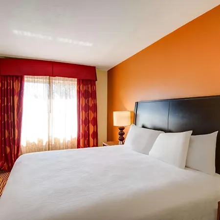 Hilton Garden Inn Tampa Ybor Historic District-2