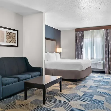 Best Western Plus Flint Airport Inn & Suites-2