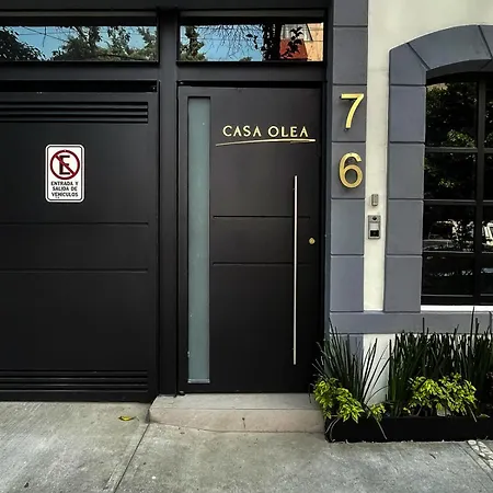 Casa Olea-2