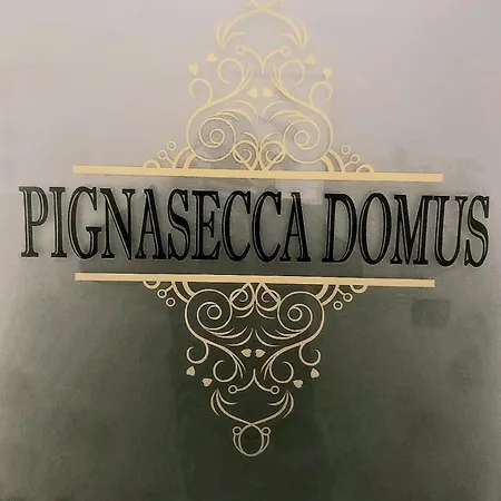 Pignasecca Domus-3