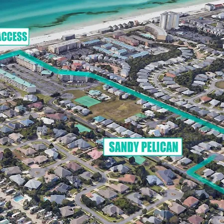 Sandy Pelican-2