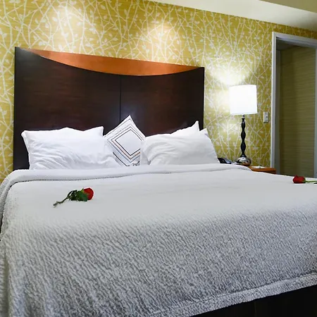 Fairfield Inn Hartford Airport-2