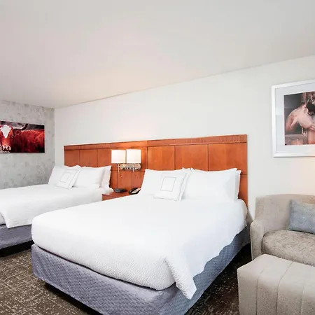 Courtyard By Marriott San Antonio North Stone Oak At Legacy-3