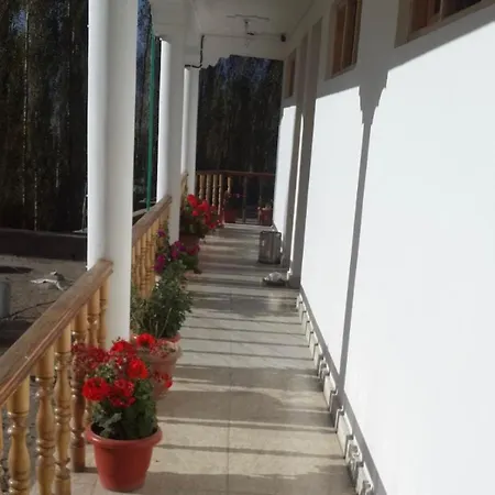 Hotel Leh Castle-2