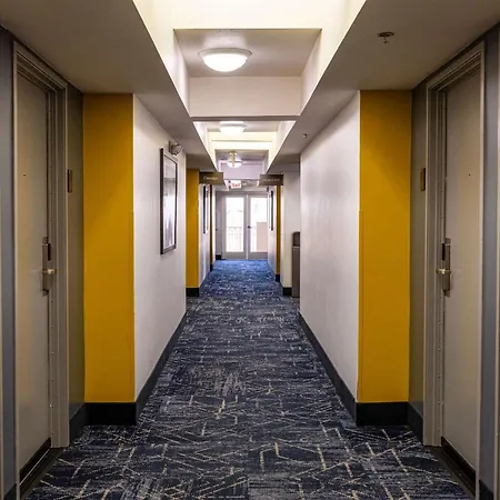 Comfort Inn & Suites Near Universal - N Hollywood - Burbank-3